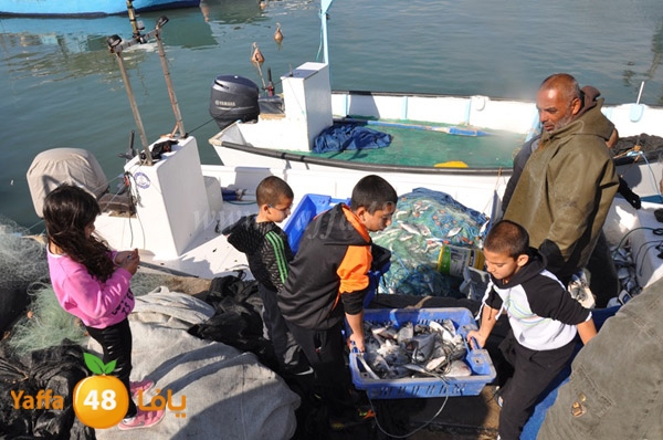 samak denisss (18).JPG